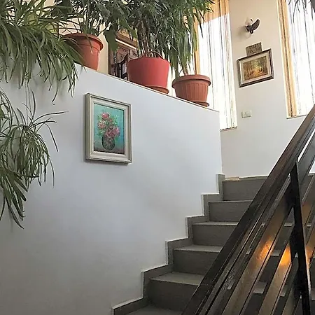 מלון Taco