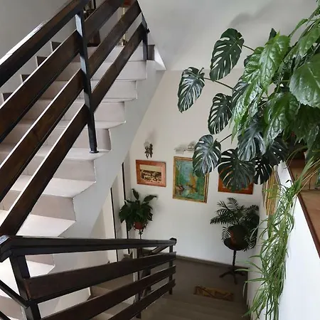 Hotel Taco Bukarest